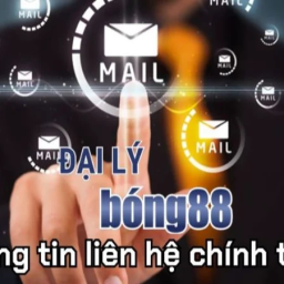 huong-dan-dang-ky-dai-ly-bong88-chi-tiet-nhat-2024