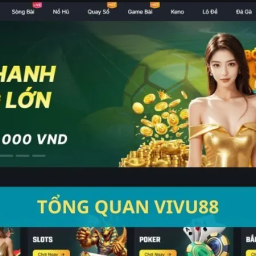 vivu88-nha-cai-the-thao-casino-da-ga-lo-de-uy-tin-1-uae