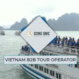 dong-dmc-vietnam-b2b-travel-tour-partner