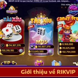 rikvip-dia-diem-giai-tri-tin-cay-cua-moi-cuoc-thu