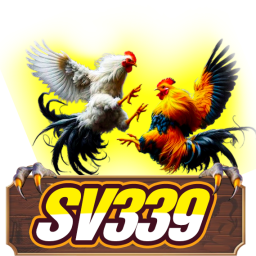 sv339us-da-ga-thomo-truc-tiep-tai-sv339