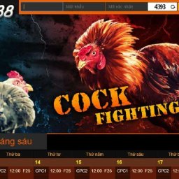 sv388-llc-trang-sv388-da-ga-truc-tiep-thomo-1