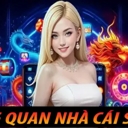 st666-st666pet-trang-ca-cuoc-da-ga-uy-tin-so-1