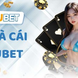 kubetdiscount-link-vao-nha-cai-kubet-chinh-thuc-nam-2024