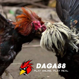 daga88-xem-truc-tiep-da-ga-thomo-cpc1-cpc2-cpc3-cpc4