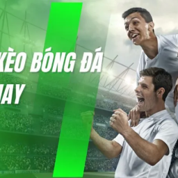 ty-le-bong-da-ty-le-bong-da-hom-nay-moi-chuan-nhat-2025