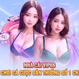 vip66-trang-chu-nha-cai-vip-66com-chinh-thuc-2025
