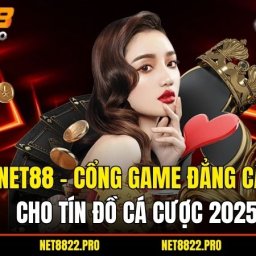 net88-cong-game-dang-cap-cho-tin-do-giai-tri-2025