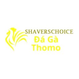da-ga-truc-tiep-thomo