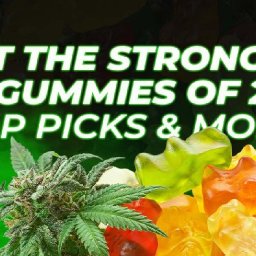 meet-the-strongest-thc-gummies-of-2025-top-picks-more