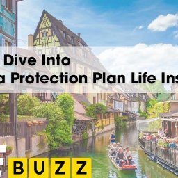 canada-protection-plan-cpp-life-insurance-review-what-you-need-to-know-canada-protection-plan-cpp-life-insurance-review-what-y