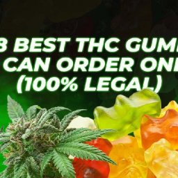 top-8-best-thc-gummies-you-can-order-online-100-legal