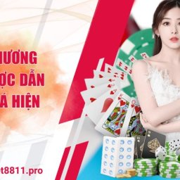 net88-thuong-hieu-ca-cuoc-dan-dau-thi-truong-chau-a