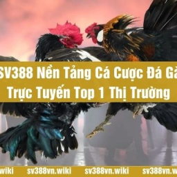 sv388-nen-tang-ca-cuoc-da-ga-truc-tuyen-top-1-thi-truong