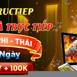 dagatructiep-xem-da-ga-truc-tiep-co-binh-luan-vien
