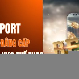 vsport-nha-cai-dang-cap-hang-dau-trong-linh-vuc-the-thao