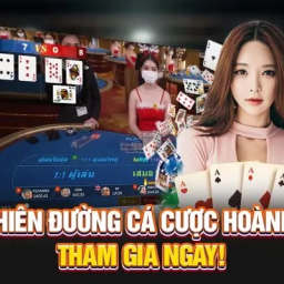 bj88-nha-cai-chinh-thuc-bj88com-da-ga-thomo-uy-tin