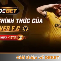 debet-nha-cai-uy-tin-voi-vo-so-uu-dai-gia-tri-cho-bet-thu