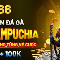 bj66-san-choi-da-ga-thomo-dinh-cao-2025