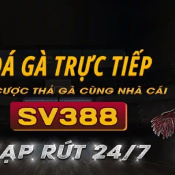 da-ga-truc-tiep-sv388-san-choi-cung-cap-ngan-tran-dau