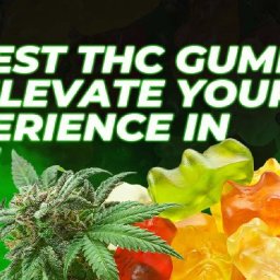 10-best-thc-gummies-to-elevate-your-experience-in-2025
