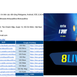 8live-thuong-hieu-nha-cai-the-thao-casino-online-uy-tin