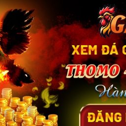 ga67-thien-duong-da-ga-thomo-uy-tin-2025