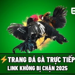 e2bettrang-chu-da-ga-thomo-link-khong-bi-chan-2025