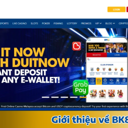 bk8-link-dang-nhap-chinh-thuc-vao-nha-cai-moi-nhat