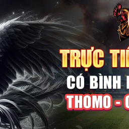dagatructiep-trang-coi-da-ga-truc-tiep-thomo-cpc-mien-phi