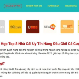 nhung-nha-cai-uy-tin-thong-tri-thi-truong-ca-cuoc-hien-nay