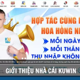 kuwin1thuong-hieu-hang-dau-uy-tin-nhanh-chong-kuwin