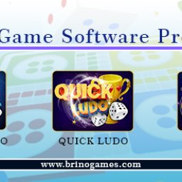 best-ludo-game-software-provider-brino-games