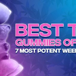 best-thc-gummies-of-2025-8-most-potent-weed-gummies-to-expand-your-mind