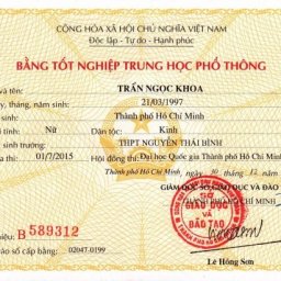 lam-bang-gia-gia-re-duoc-ua-chuong-nhat-hien-nay