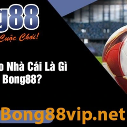 bong88-viva88-link-thay-the-moi-nhat-linkbong88moinhat