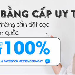 lam-bang-gia-gia-re-duoc-ua-chuong-nhat-hien-nay