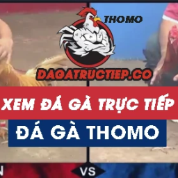 da-ga-thomo-truc-tiep-tai-campuchia-hom-nay