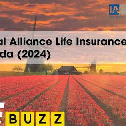 industrial-alliance-life-insurance-ia-review-in-canada-2025-industrial-alliance-life-insurance-an-unbiased-2024-review-industri