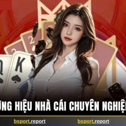 bsport-thuong-hieu-nha-cai-chuyen-nghiep-chat-luong