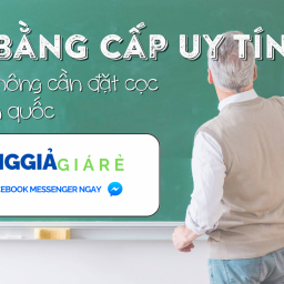 lam-bang-gia-gia-re-duoc-ua-chuong-nhat-hien-nay
