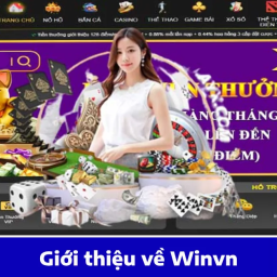 winvn-diem-choi-ca-cuoc-hop-phap-ma-bet-thu-can-biet