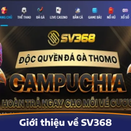 sv368-nen-tang-giai-tri-truc-tuyen-dan-dau-xu-huong