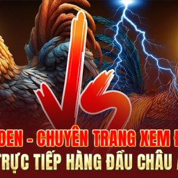 congaden-chuyen-trang-xem-da-ga-truc-tiep-hang-dau-chau-a
