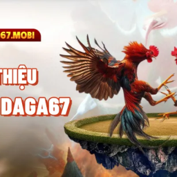 daga67-trang-chu-nha-cai-da-ga-uy-tin-nhat