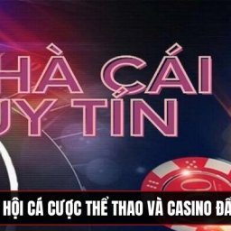 zindo-co-hoi-ca-cuoc-the-thao-va-casino-day-hap-dan