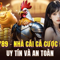 dola789-nha-cai-ca-cuoc-da-ga-uy-tin-va-an-toan