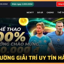 mcw77-nha-cai-ca-cuoc-the-thao-casino-uy-tin-so-1
