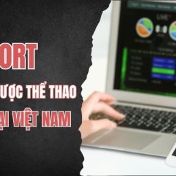 bsport-san-choi-ca-cuoc-the-thao-hang-dau-tai-viet-nam