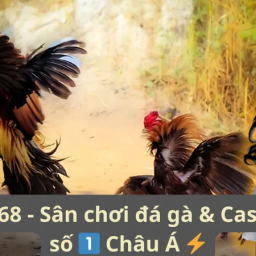 sv368-san-choi-da-ga-casino-so-1-chau-a